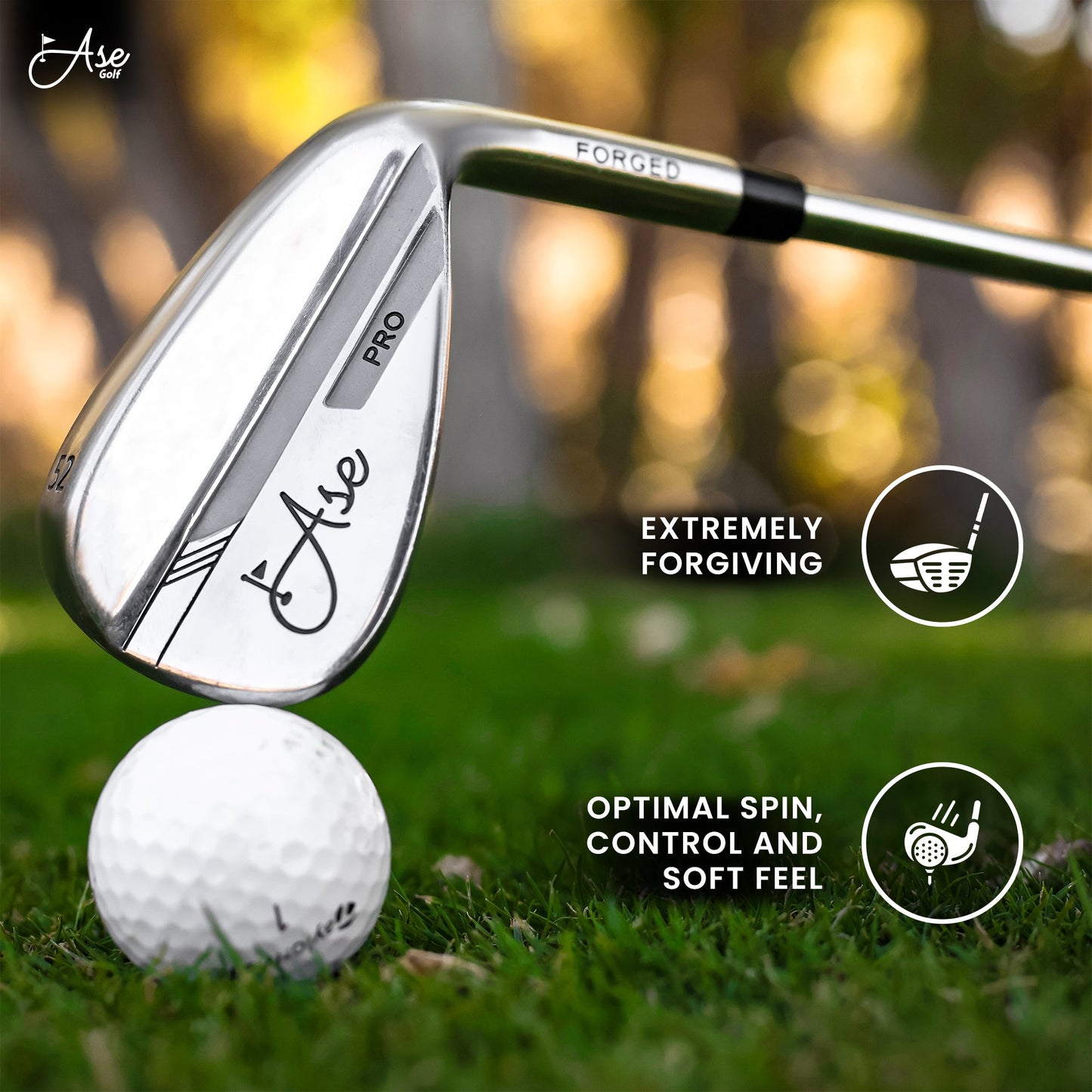 Ase 3-Piece Wedge Set